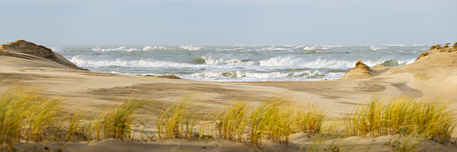 L'océan et les dunes L'océan et les dunes