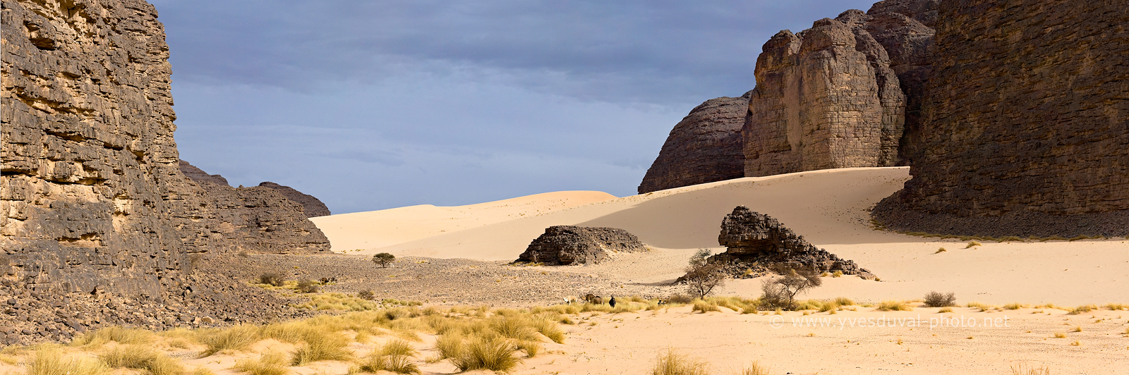 ALGERIE