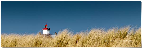 Photo 710100