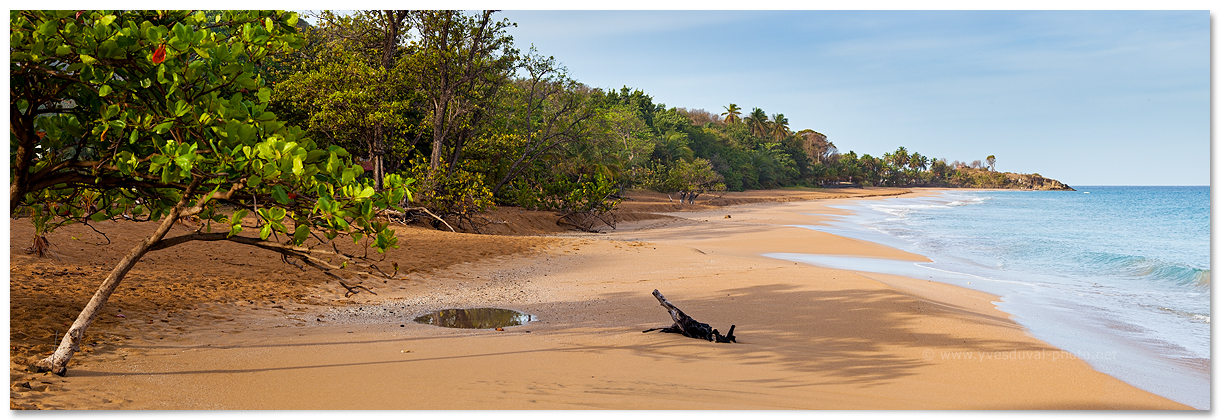 L'anse de la perle (Guadeloupe)