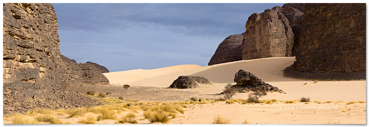 Canyon dans l'erg Tihodaine (Sahara algérien)