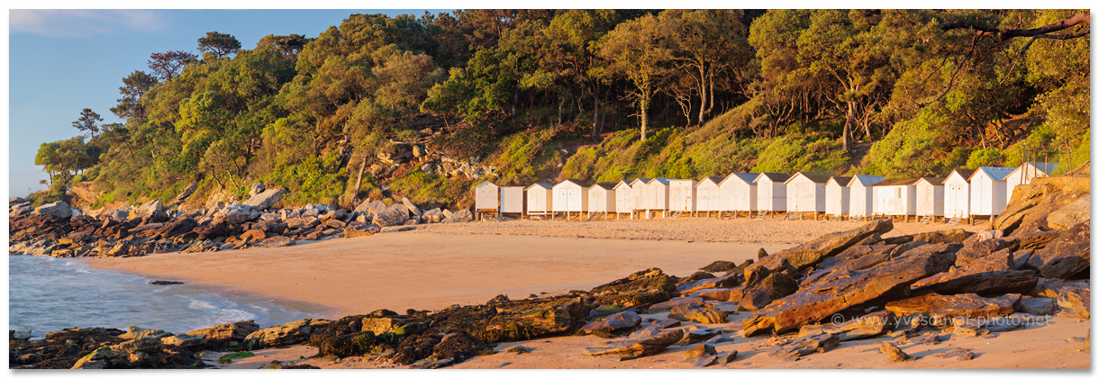 Le bois de la Chaise (Vendée, Pays de la Loire)