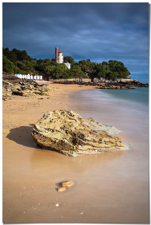 Le bois de la Chaise (Vendée, Pays de la Loire)