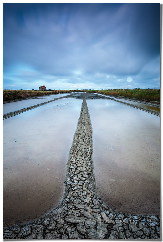 Les marais salants (Noirmoutier, Vendée, Pays de la Loire)