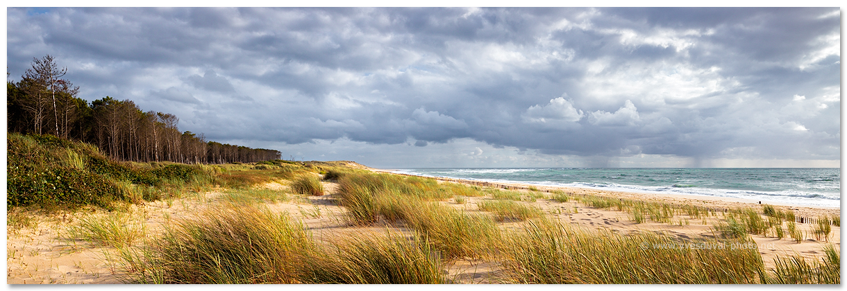 L'océan Atlantique face à la forêt des Landes (La Teste-de-Buch, Gironde, Aquitaine)