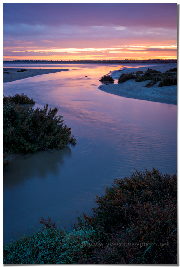 Marée descendante  (ïle d'Oléron, Charente-Maritime, Nouvelle-Aquitaine)