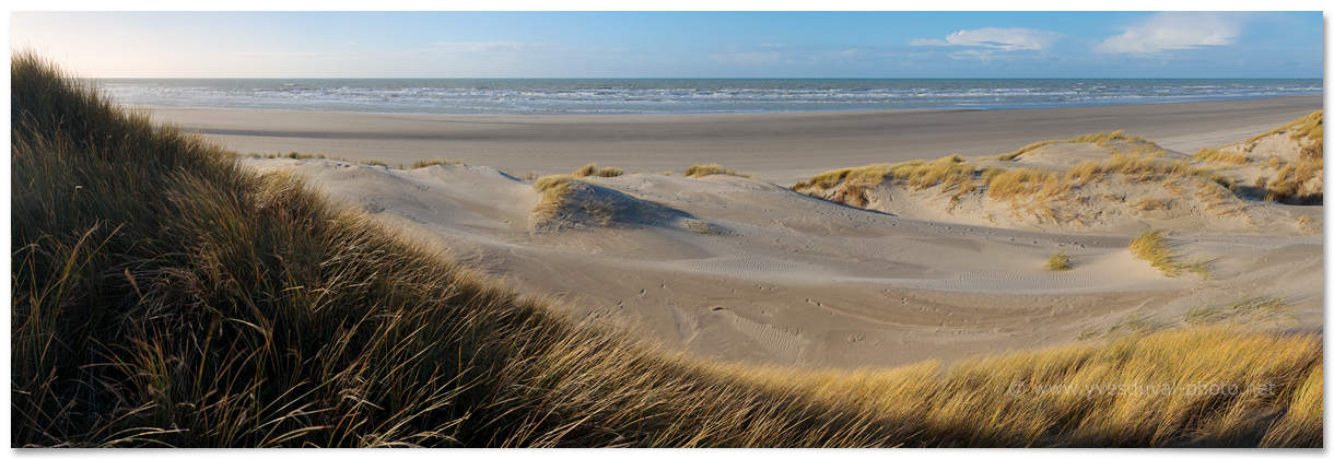 Le Marquenterre (Somme,Hauts-de-France)