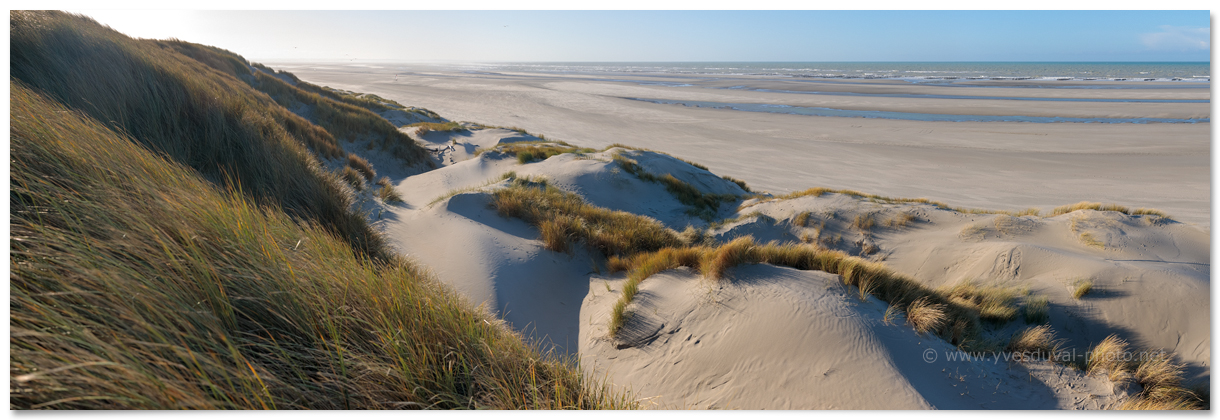 Le Marquenterre (Somme,Hauts-de-France)