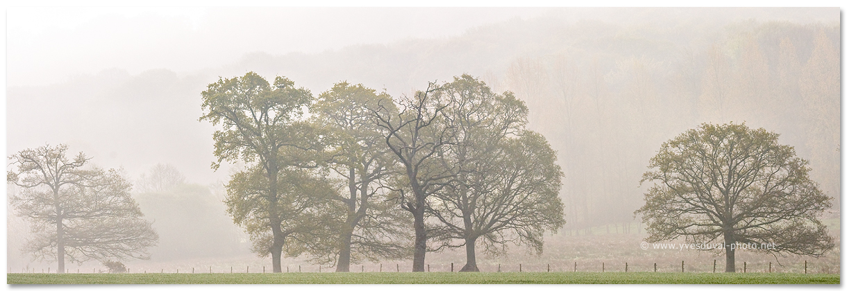 Effet de brume sur la Lucerne d'Outremer (Manche, Normandie, France) - Photo panoramique - Yves Duval
