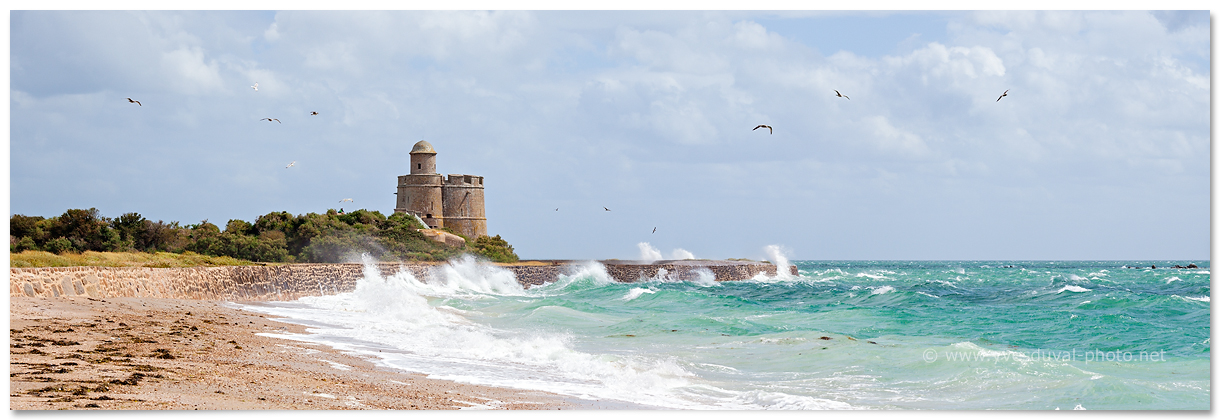 L'ile de Tatihou (Manche, Normandie, France) - Photo panoramique du littoral - Yves Duval