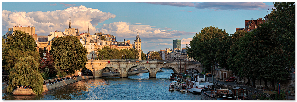 Le Pont Neuf et l'Ile de la Cité à Paris
