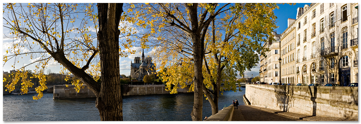 L'Ile de la Cité depuis le quai d'Orléans