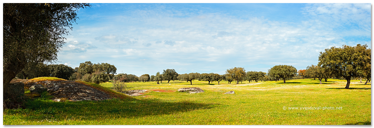 Paysage de l'Alentejo (Alentejo, Portugal)