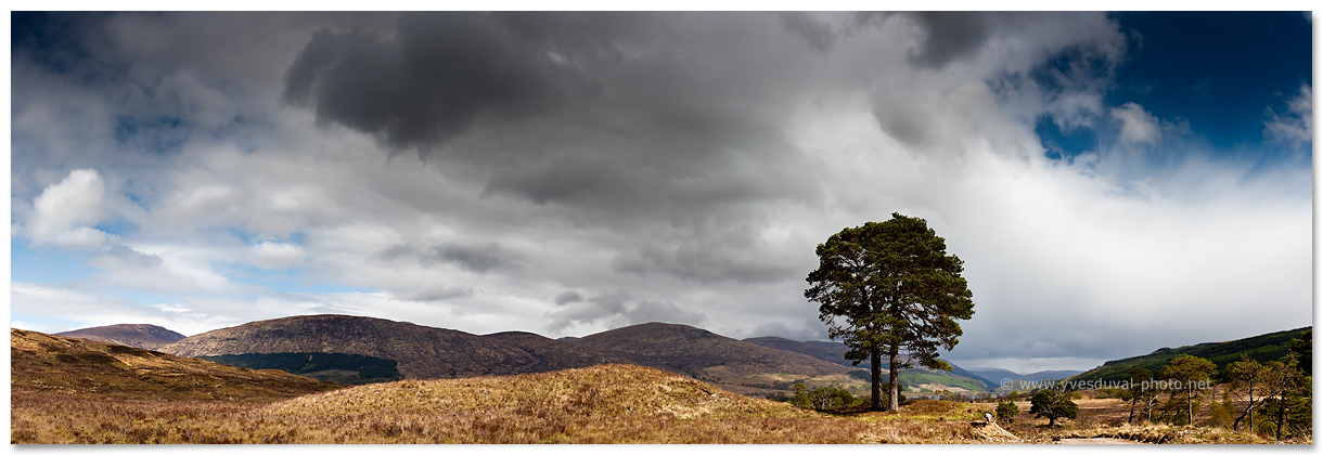 Le Loch Arkaig dans les Highlands