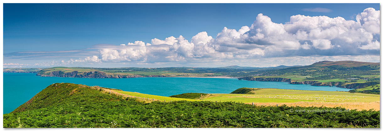 Ynys Dinas (Pays de Galles, Royaume-Uni)