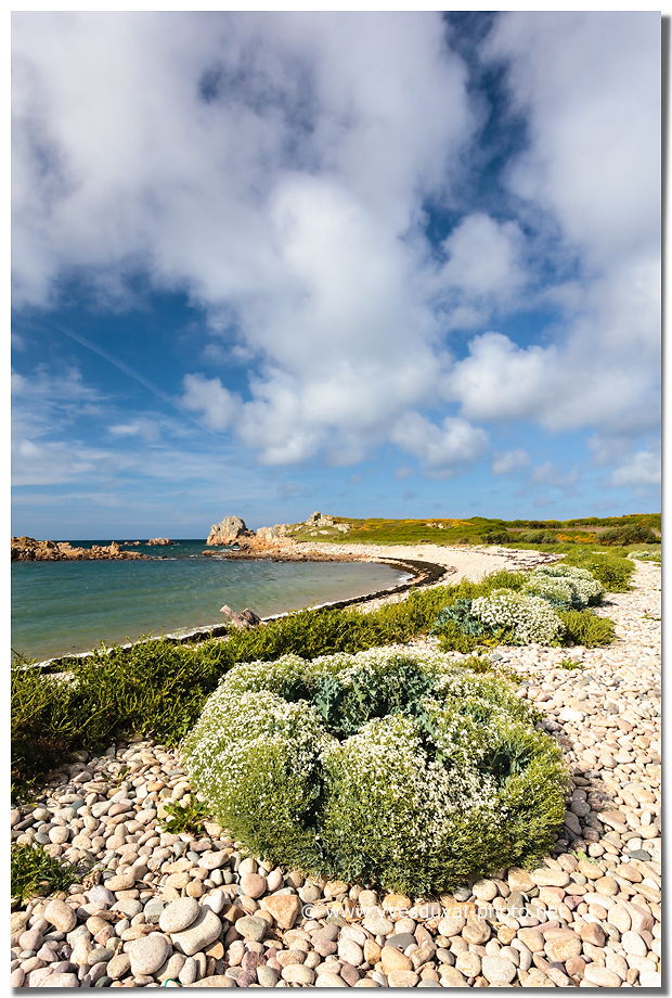 l'île de Bréhat (Côte d'Armor, Bretagne)