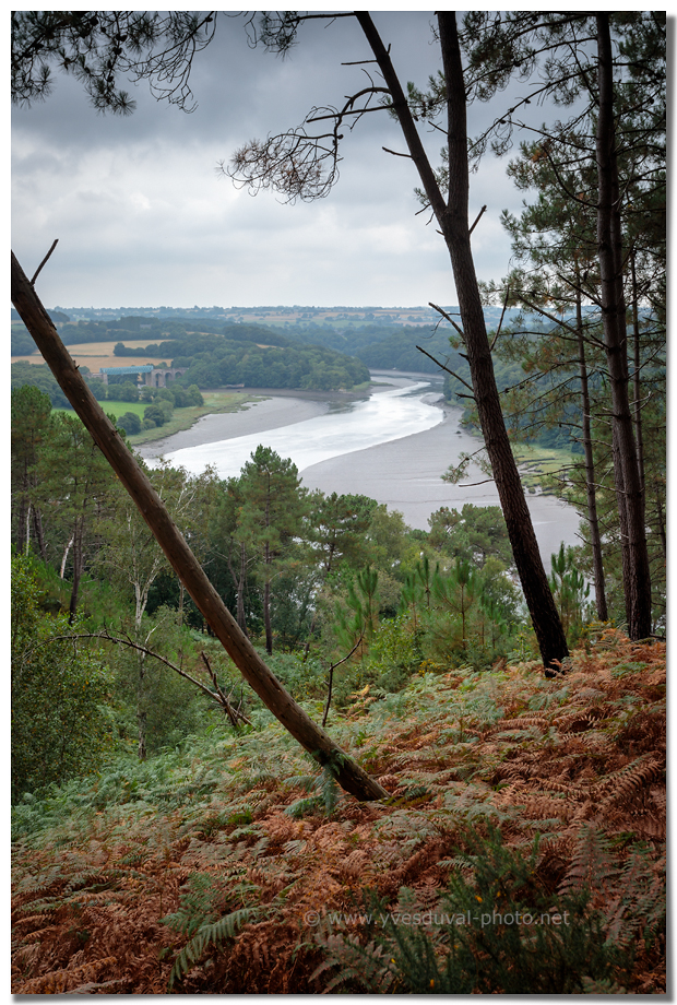 L'estuaire du Trieux - Côtes d'Armor, Bretagne