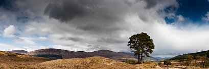 Le loch arkaig (Highlands, Ecosse)