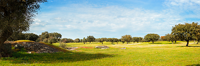 Alentejo, Portugal