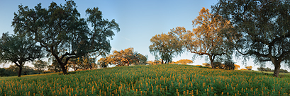 Alentejo, Portugal