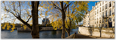 L'île de la Cité depuis le quai d'Orléans