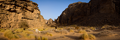 Bivouac dans l'erg Tihodaine (Sahara algérien)