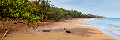 Anse de la perle (Guadeloupe, France)