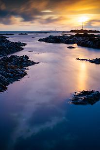 L'île de Noirmoutier (Vendée, Pays de la Loire)