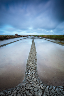 L'île de Noirmoutier (Vendée, Pays de la Loire)