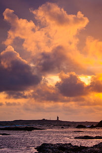 L'île de Noirmoutier (Vendée, Pays de la Loire)