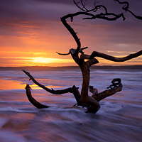 Lever de soleil sur l'île d'Oléron (Charente-Maritime, Nouvelle-Aquitaine)