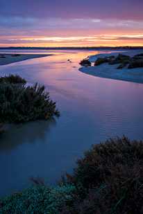 Marée descendante et lever de soleil (Charente-Maritime, Nouvelle-Aquitaine)