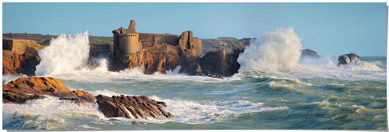 Le vieux château (Vendée, Pays de la Loire)
