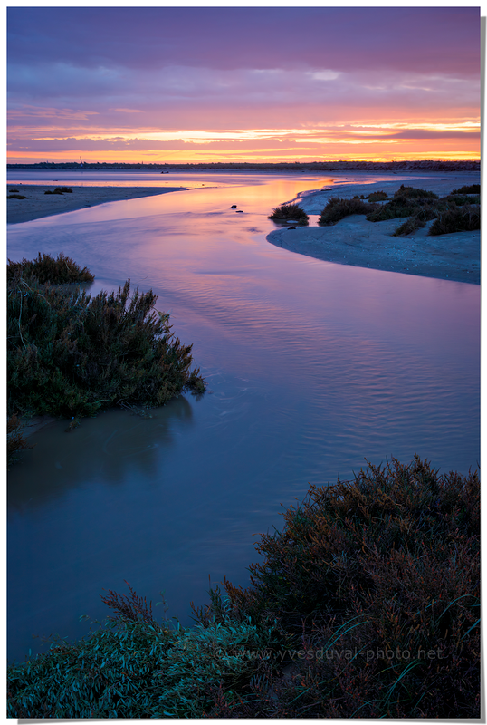 Marée descendante (Charente-Maritime, Nouvelle-Aquitaine)