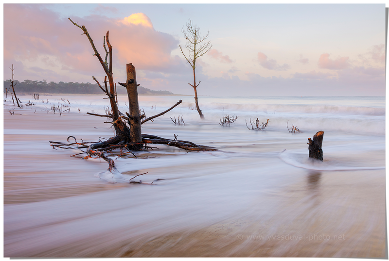 La pointe de la Coubre (Charente-Maritime, Nouvelle-Aquitaine)