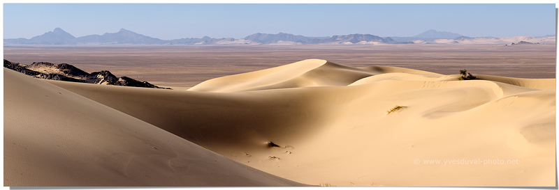 Les dunes de l'erg Tihodaine (Erg Tihodaine, Algérie)
