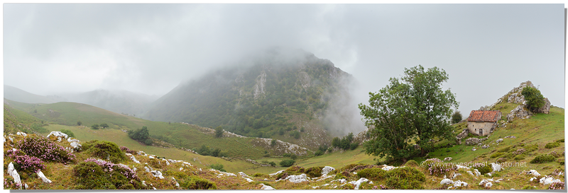 Picos de Europa (Asturies, Espagne)