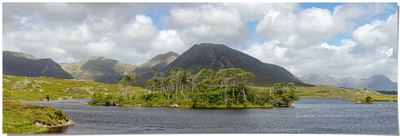 Pine Island (County Galway, Irlande)