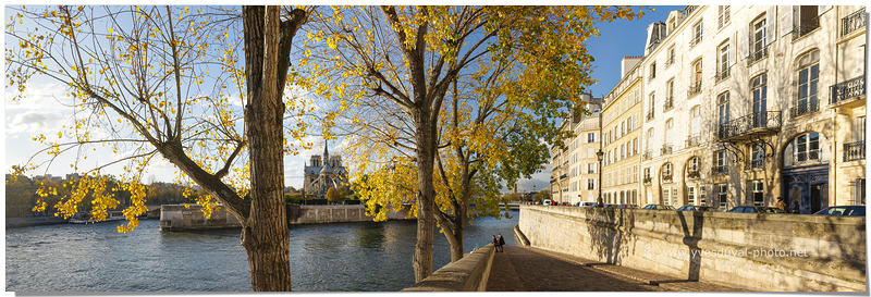 L'Ile de la Cité depuis le quai d'Orléans (Paris, Ile-de-France)