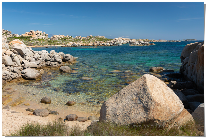 Côte de l'île Lavezzu (Corse-du-Sud, Corse)