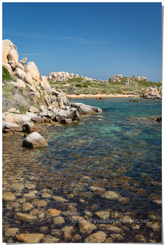 Côte de l'île Lavezzu (Corse-du-Sud, Corse)