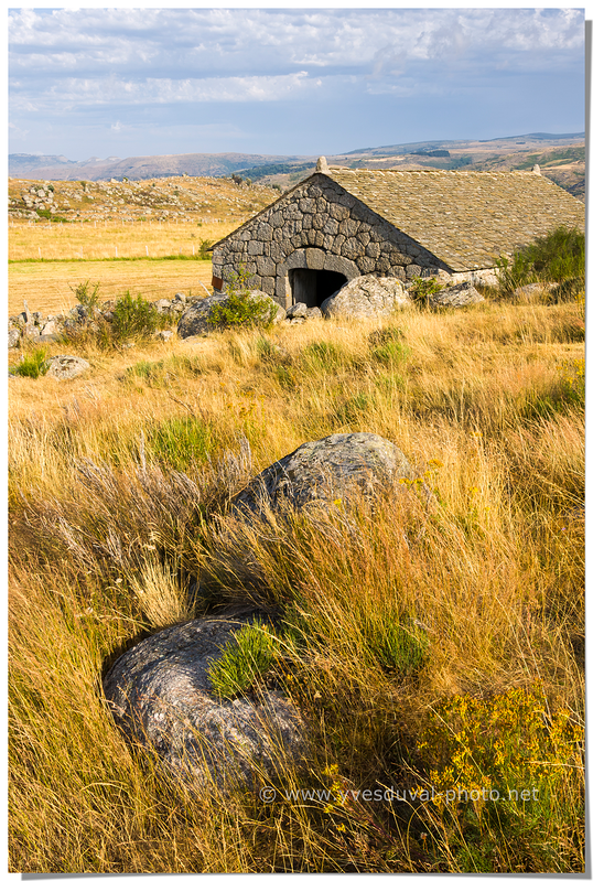 Prairies dans les environs du Mont Lozère. (Lozère, Occitanie)