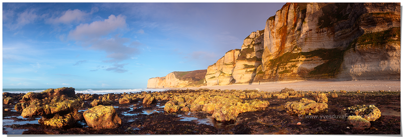 Les falaises de la côte d'Albâtre (Le Tilleul, Seine-Maritime, Normandie)