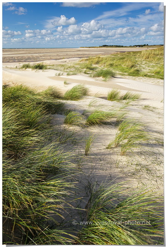 Les dunes de Bréhal (Manche, Normandie)