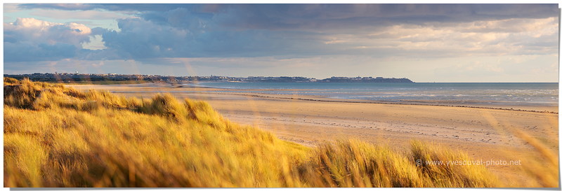 Granville depuis les dunes de Bréhal (Manche, Normandie)