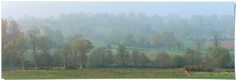Brume sur le bocage normand (Manche, Normandie)