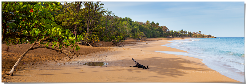 L'anse de la perle (Guadeloupe - France)