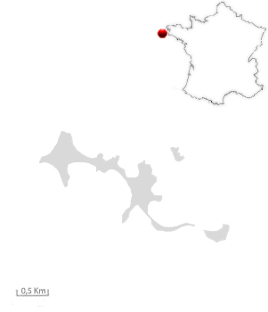 Carte de Sein